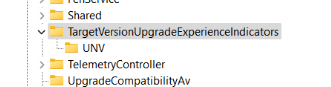 Cant find NI22h2 folder in TargetVersionUpdateExperienceIndicators 46f7c460-6f05-4e5b-9d10-23b085f60e5c?upload=true.png