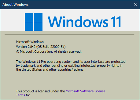 windows 11 preview 10.0.22000.51 4731t-windows-11-insider-preview-dev-10-0-22000-51-co_release-june-28-a-insider-preview-22000.51.png