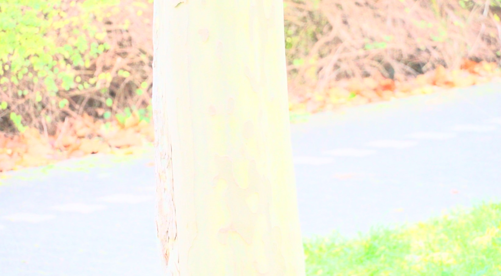 Problem with picture profile videos in the Photos app 47ec0bcc-13bd-43f5-ae73-6d59a4c4e7c2?upload=true.jpg