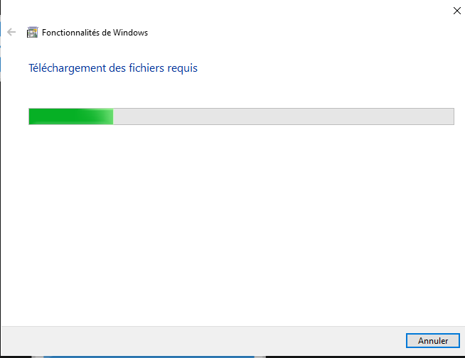 Can't enable NET Framework 3.5 on Windows 10 4bf70b3a-72d8-45fc-a681-ca692b8e9e2b?upload=true.png