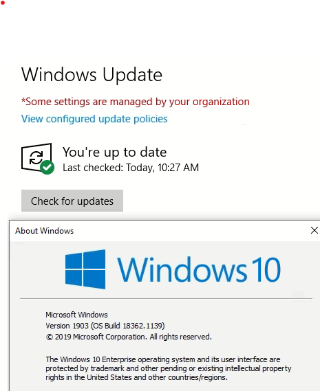Option to upgrade to 20H2 is not present in 1903 50565d3d-6b9b-4fe3-955e-5cb11fb8ce2e?upload=true.png