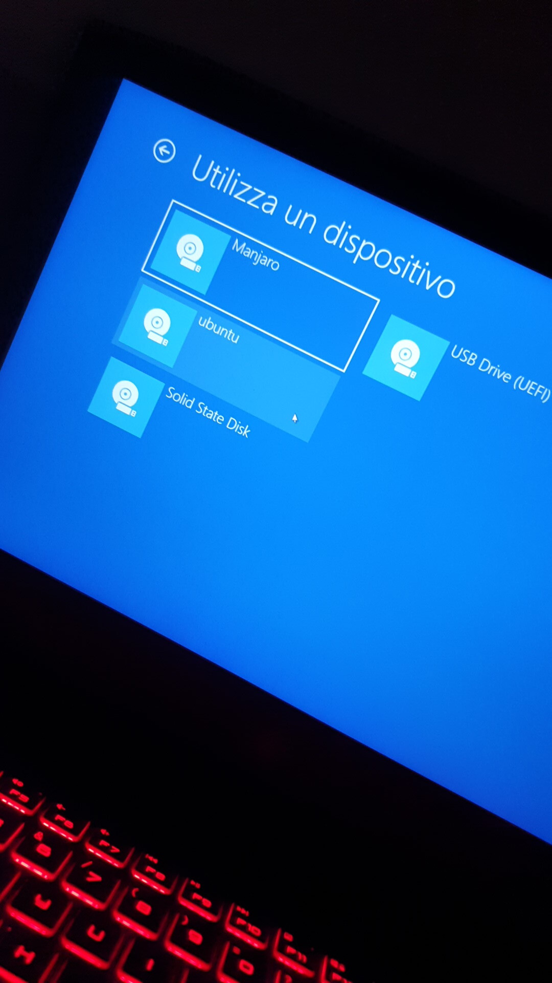 Windows Recovery Environment / Use a device shows "strange" entries. 50682d1d-4af1-4d87-9a39-9bf283d91229?upload=true.jpg