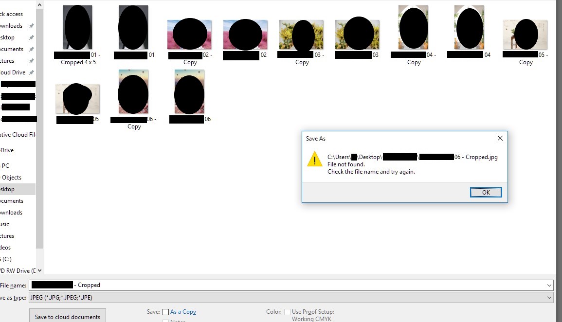 Full permission to copy or rename a file in explorer or in Photoshop 5870551a-033e-41c5-83c3-bd469b1e5b69?upload=true.jpg
