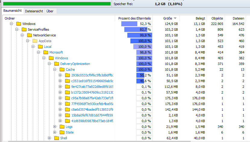 Windows 10 Cache folder with 100gb 5aa52506-4064-46ee-933d-2c2f457e1b87?upload=true.png