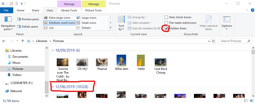 Picture Library - Arrange photos by Day 5ed565ef-7b25-4d9d-b627-165ad98169a5?upload=true.png