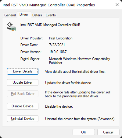 ABOUT A CORRUPT DEVICE: Intel RST VMD Managed Controller 09AB 60558155-b009-4540-b256-1839fa6505a3?upload=true.png