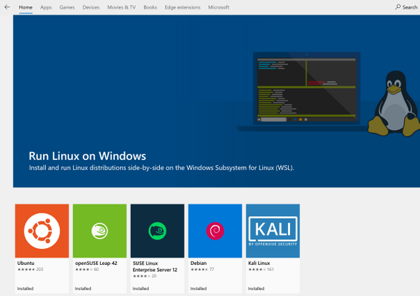Windows Subsystem for Linux (WSL) for testing Windows 10 PTP Client 605x426?v=1.png