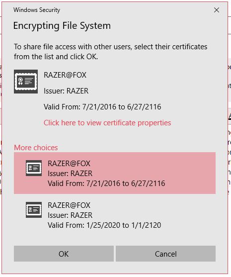 EFS certificate created by ME doesn't allow ME to access encrypted files 61a07461-9b89-4df5-929a-6da10ed36756?upload=true.jpg