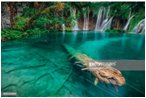 Locations for World National Parks Theme 61f6fee8-b3a7-4b55-bdff-742a29caf13e?upload=true.jpg
