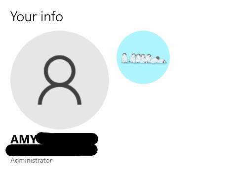 Account settings showing two user profiles after moving from local to microsoft 62241eb2-5778-4a38-a9bb-fcad1b78cc40?upload=true.png