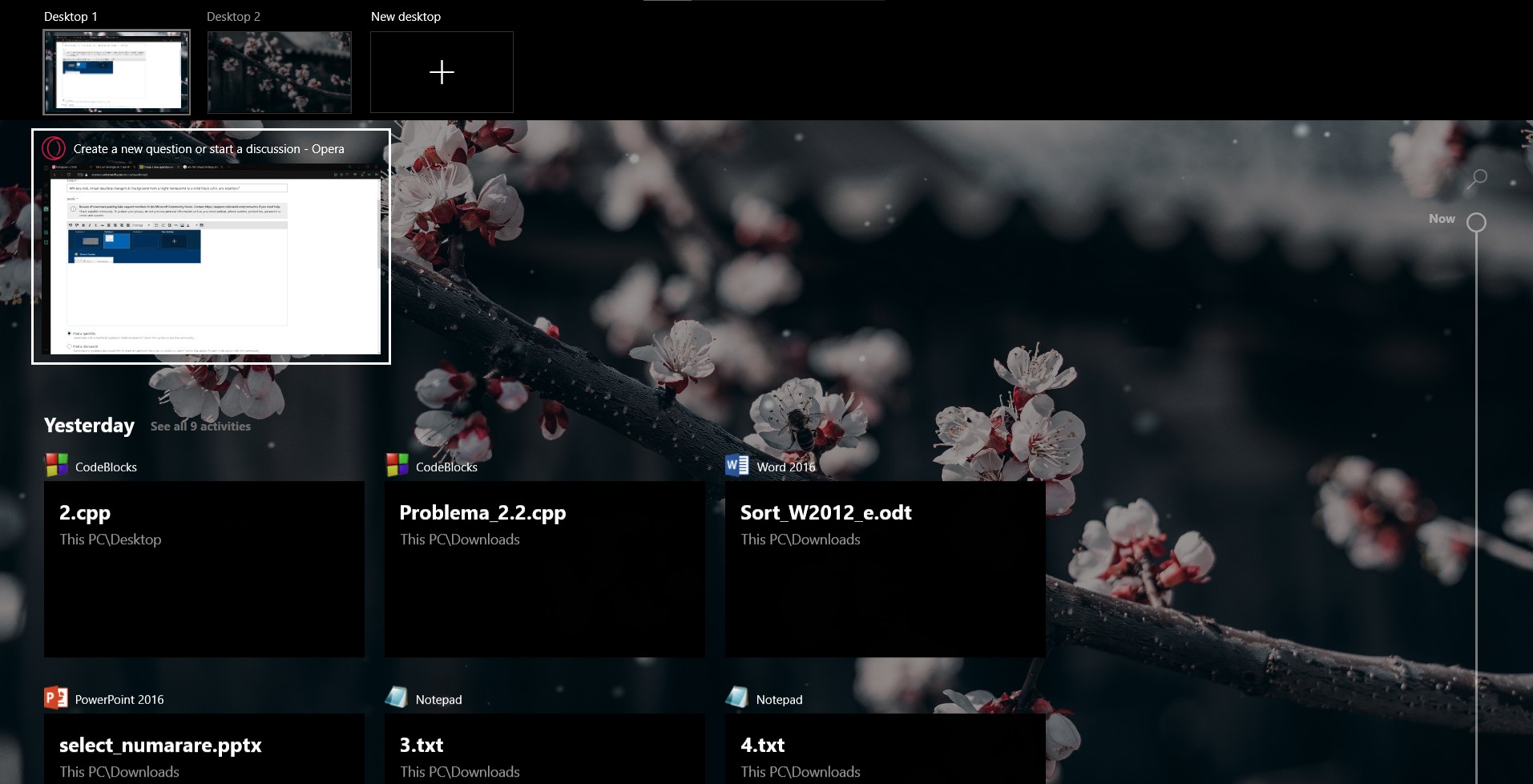 Win key+tab, virtual desktop and timeline changed its background from a slight transparent... 64b0bd50-147b-4066-ad43-dc62f5d3ac7f?upload=true.jpg