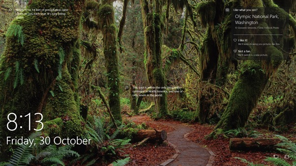 Information on a Wallpaper 64ff3434-a33e-43d5-ade5-03d1f94910ce?upload=true.png