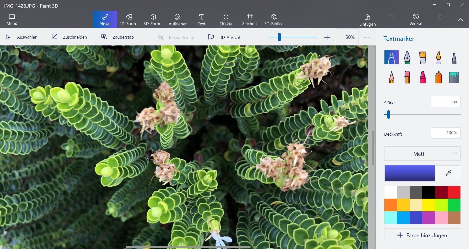 Win 10 Photo app does not show photos in high resolution 65a8fc0f-6341-48f2-a64e-c1ce524b85a0?upload=true.jpg