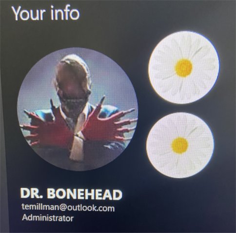 One microsoft account and two profiles 65d93579-162b-4955-ac98-0333c341441a?upload=true.jpg
