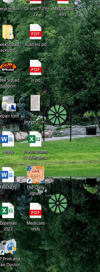 what are the green circles with black pie cut marks that appeared on my desktop 65ff83f5-b560-4b8f-9738-c91ff2c8e00f?upload=true.png