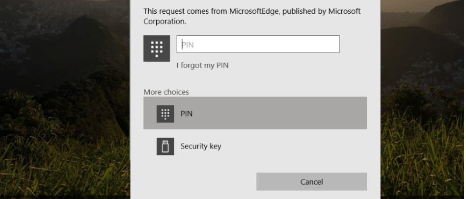 Problems after inputting Hello Pin - Windows 10 67fe5e31-3abb-4078-bd53-87d3fcc5eeb0?upload=true.png