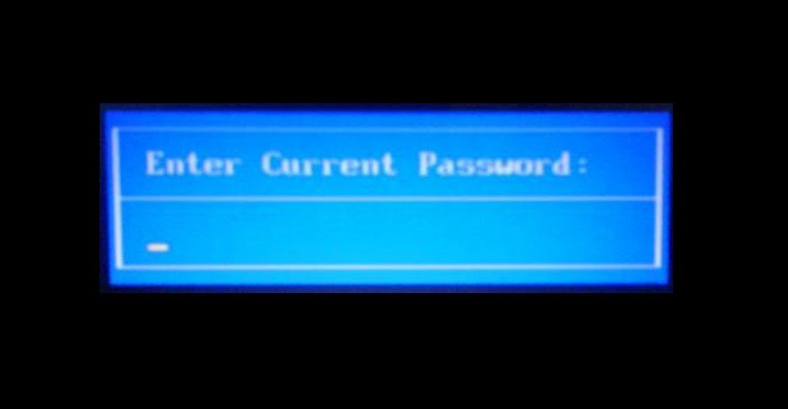 BIOS 6b6cda9e-3ca4-47aa-b542-03de576cb629?upload=true.jpg