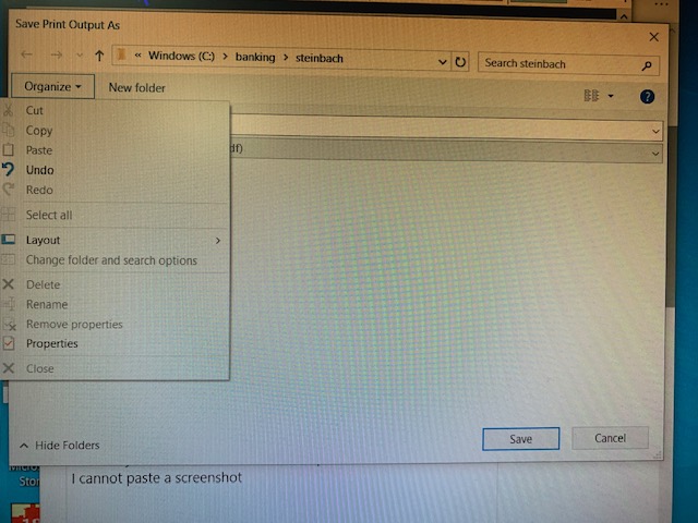 Microsoft Print to PDF 6cc07156-b21e-450e-b02a-c9167b02dd67?upload=true.jpg
