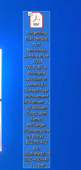 pdf file on desktop cannot be deleted weird file name 6e1f2193-d58f-40aa-9fe1-72217595cee3?upload=true.png
