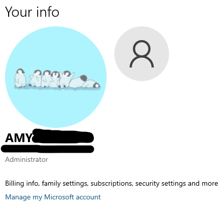 Account settings showing two user profiles after moving from local to microsoft 7feebd28-3ed2-4290-81bd-1ce3e8590402?upload=true.png