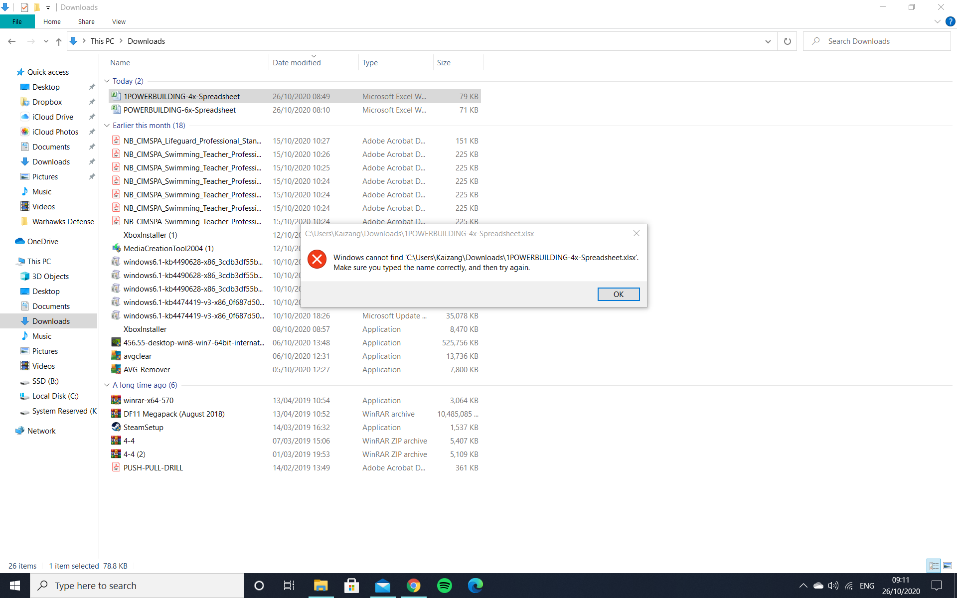 Windows cannot find any of my downloaded files 8121775b-b130-43c7-aa31-c64dec1ced60?upload=true.png