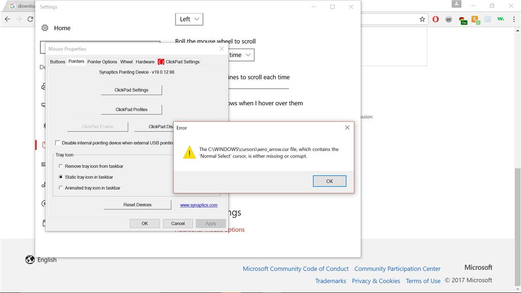 Mouse cursor file missing/corrupted 8181a302-621b-404c-81d4-a21e00d9043c.jpg