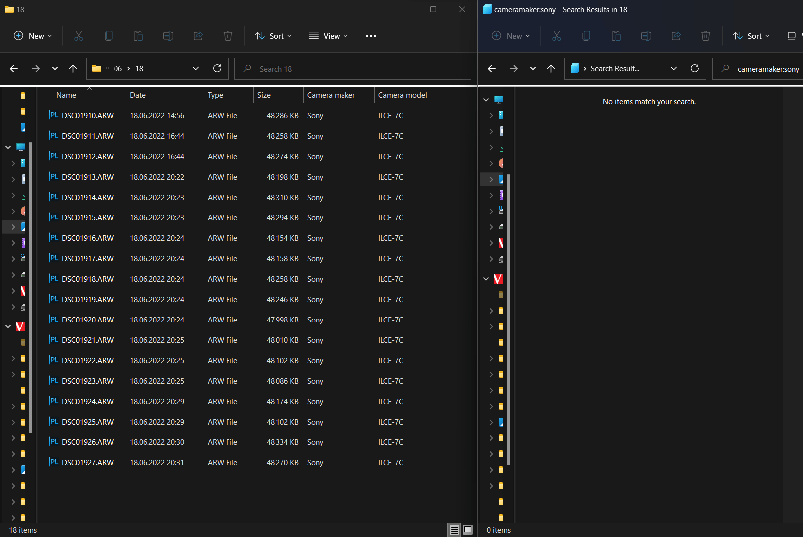 Raw Image Extension - Can't open DNG Files 8280962c-c894-49ae-bb99-7905099eca25?upload=true.png