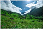 Locations for World National Parks Theme 85fdb86f-5837-4820-8873-8d90eb2d76ec?upload=true.jpg