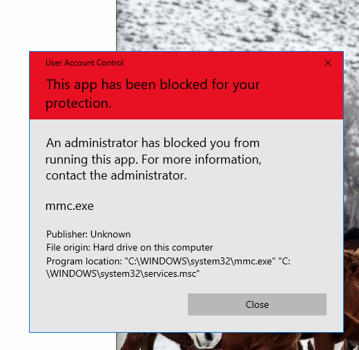 Windows blocking me 89a8393b-5d1c-436e-b695-ea5e9c4d49dc?upload=true.png