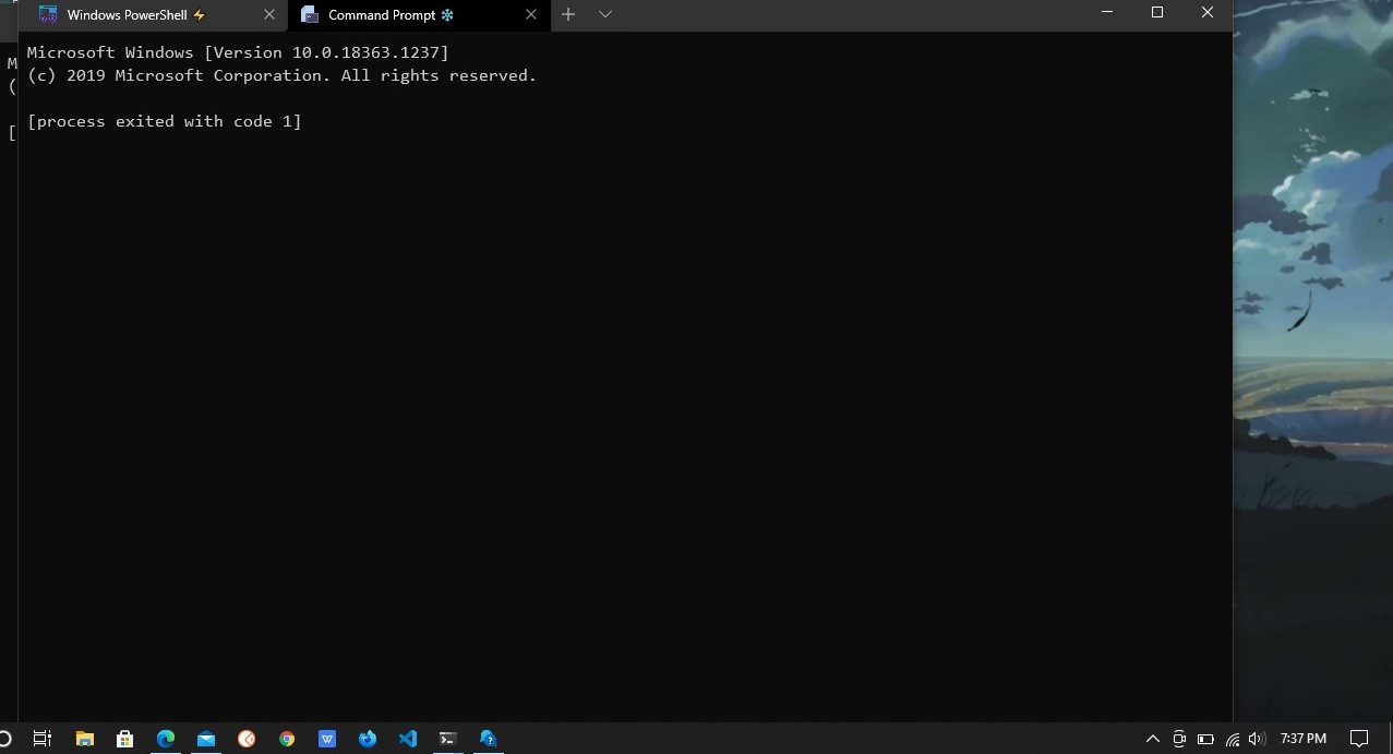 Command Prompt exited with code 1 8a657946-54f8-48f4-93b2-877e971a1cca?upload=true.jpg