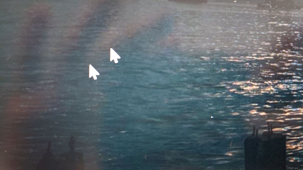 Double cursor and other graphics issues 8e93ff26-da5c-4e0a-b9db-b0db09d6c611?upload=true.jpg