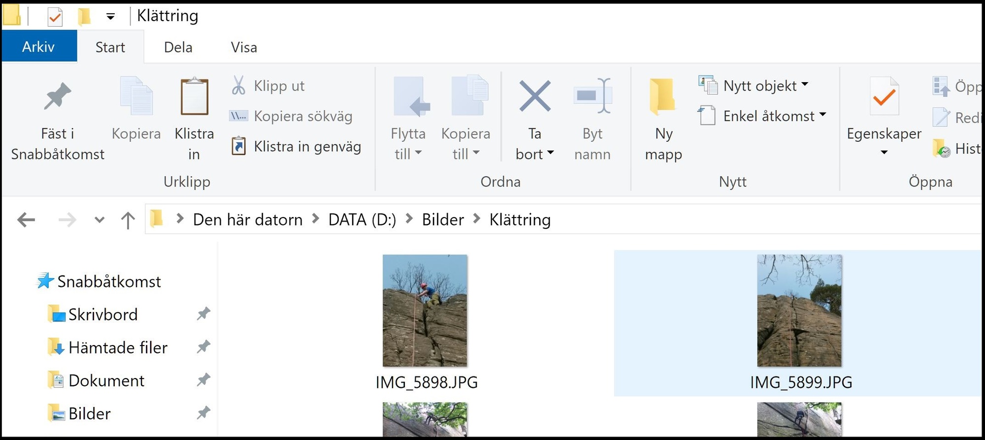Problem with symbol size in various software 8fb20aa2-2c63-4118-9ed0-dc968cf6495d?upload=true.jpg