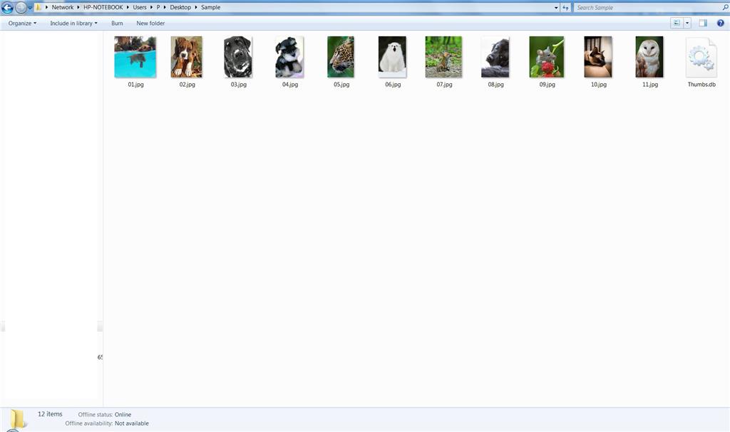 Jpg images not large enough to view properly don't change from large to extra large in view. 93566358-7b5a-4bfa-adb4-db6dfb412709.jpg