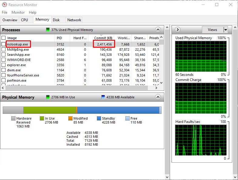 nslookup.exe Commit 2.5 GB of my RAM 93e44a25-66d4-4014-90b5-2281acb8e095?upload=true.png