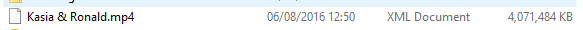 Problems opening an xml document 95172d1485970406t-mp4-file-opens-personal-laptop-xml-document-file-2016_08_09_20_09_331.png