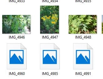 Проблема с отображением миниатюр файлов RAW .CR2 97947d1485971061t-trouble-canon-cr2-raw-files-capture.jpg