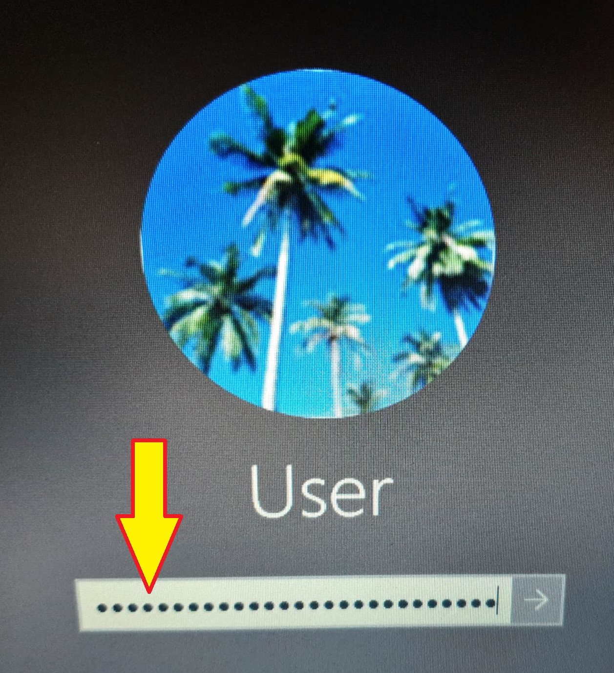 Windows 10 login screen password field is filled with dots. 9a05aa7d-5a83-4fdd-9907-deb763c9f778?upload=true.jpg