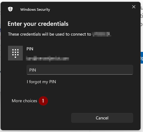 RDP defaulting to Windows Hello PIN 9aada26d-8eb4-409d-8831-a3f00766837b?upload=true.png