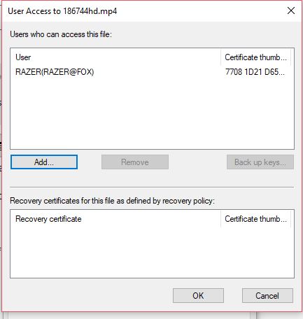 EFS certificate created by ME doesn't allow ME to access encrypted files 9b755829-29ca-45ca-8126-34dbb05be986?upload=true.jpg