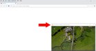Possible to HIDE the title bar of a program? 9Bkx3g1DXSioN3Psv3CIA-XTgX47wXvUkOIhWoOdW2U.jpg
