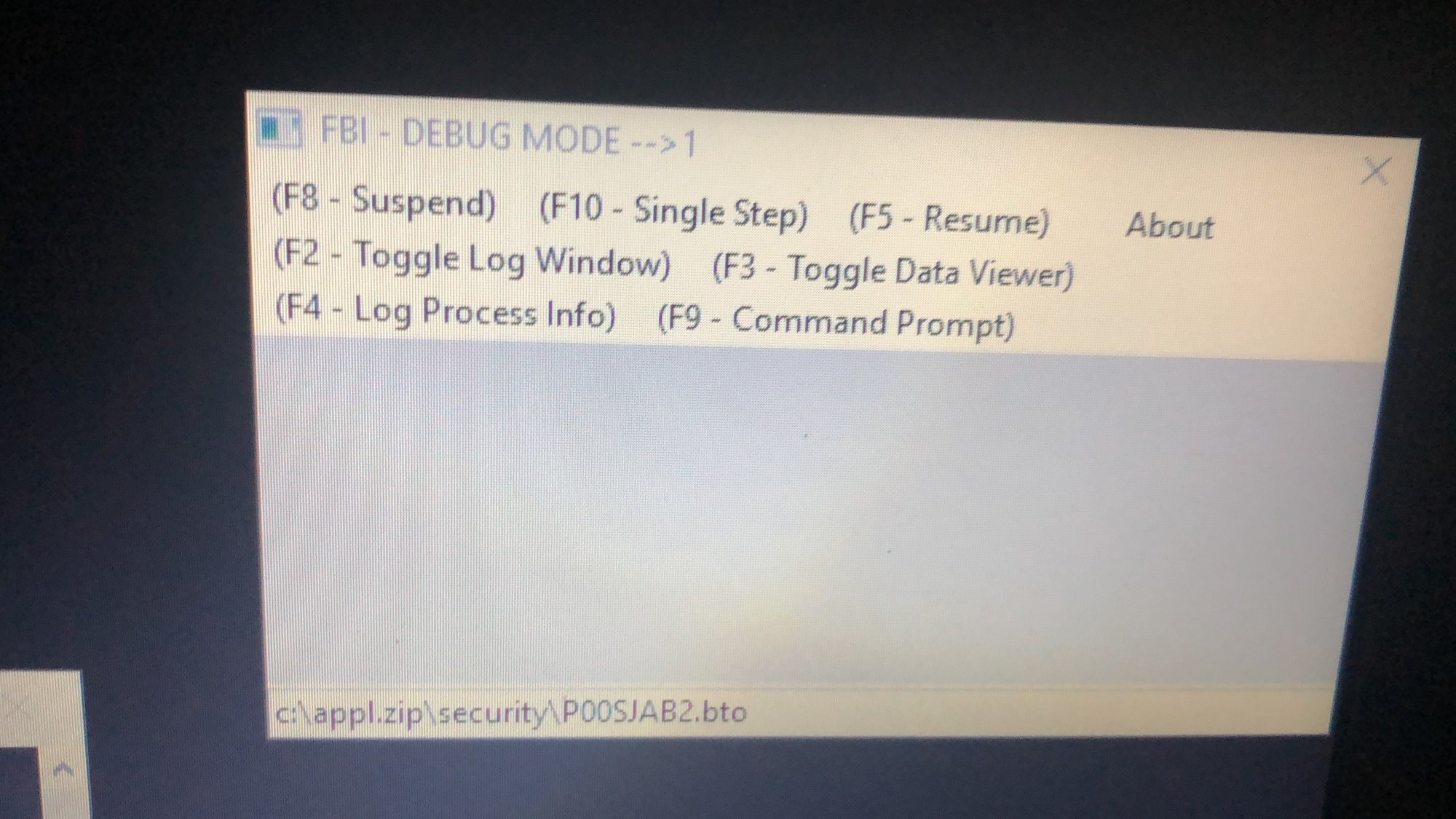 FBI Debug mode - taking hours across multiple cmd prompt windows 9ca41a3a-003c-4193-a62b-51f451d7d641?upload=true.jpg