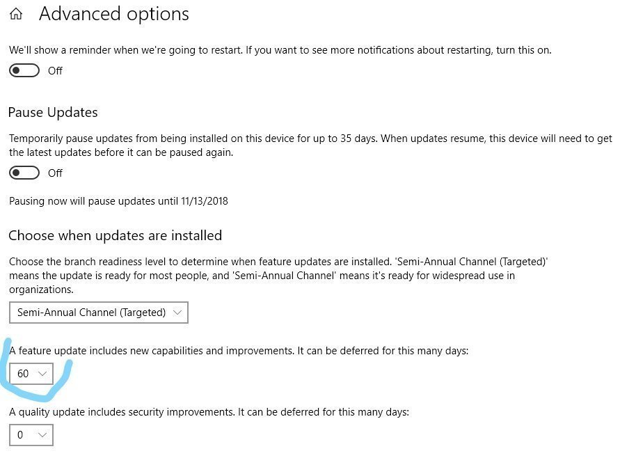 Questions about deferring a feature update in Windows 10 Pro Windows Update Settings 9cc8c27b-9853-48d6-9513-2f936999b2a5?upload=true.jpg