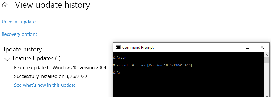 Updated from Version 10.0.18363.1016 to 2004, but it currently shows 1904 9ec046fa-07d7-4d51-8e31-54541452db06?upload=true.png
