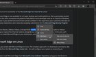 Legacy Edge's built-in dictionary (or "definitions inline") is now available in Edge Canary. 9EuOqoJrI2bfubNueHISPSPurCkHnJwD0M5xOuaOFqA.jpg