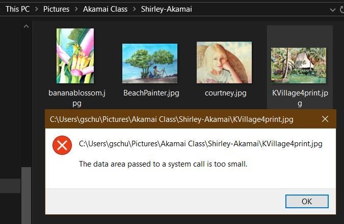 "Data area ...too small message. 9f0e29fd-704f-4876-8afe-55d30fcab0ec?upload=true.jpg