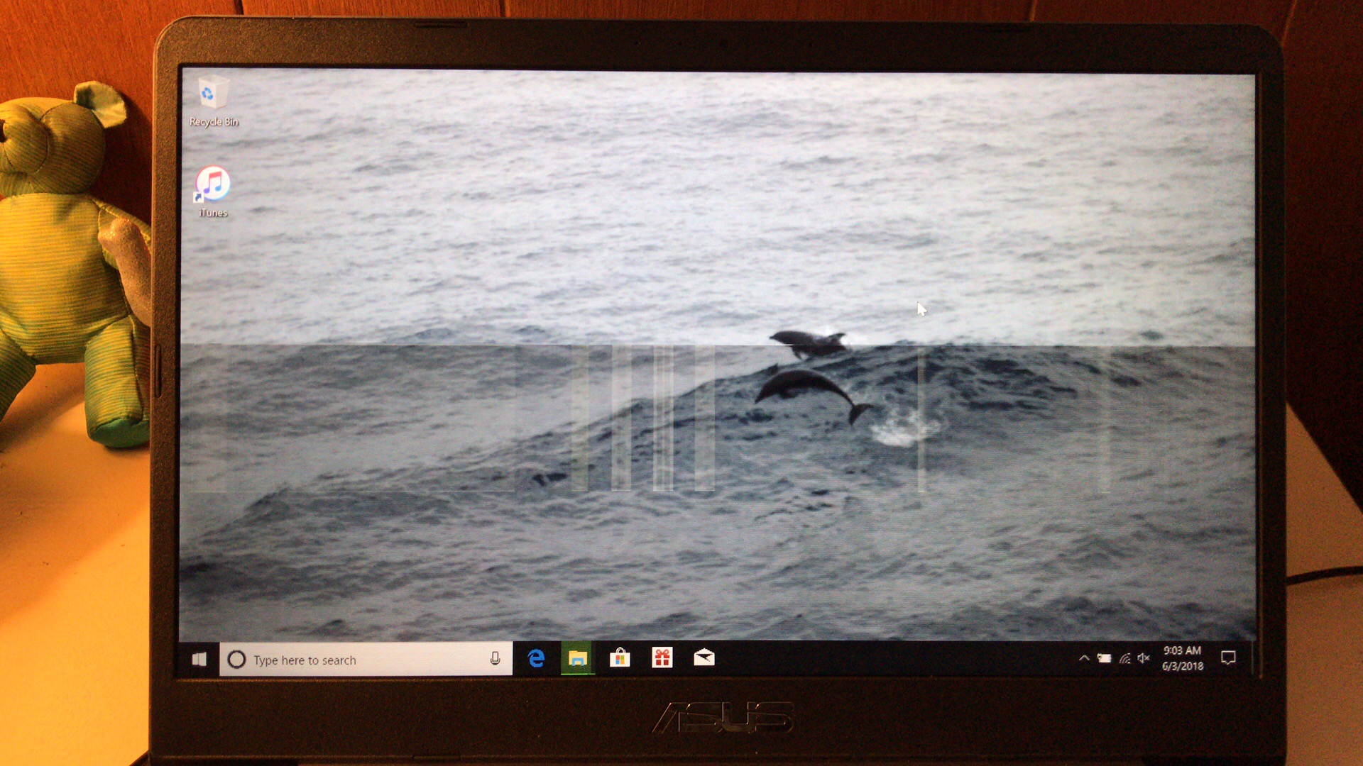 green shade on 3/4 of laptop screen 9f750a32-5df2-44ad-acfe-ceb927526e89?upload=true.jpg
