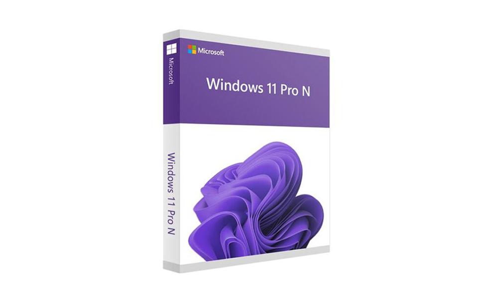 Windows 11 version battle: Which is better, Pro or Pro N? A-detailed-comparison-of-Windows-11-Pro-and-Pro-N-02.jpg