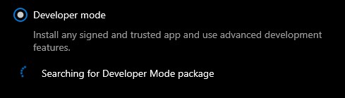 Installing Developer mode Package stuck at Searching for Developer Mode package a0324f51-b73c-4433-a7cc-57cdceb6c019?upload=true.jpg