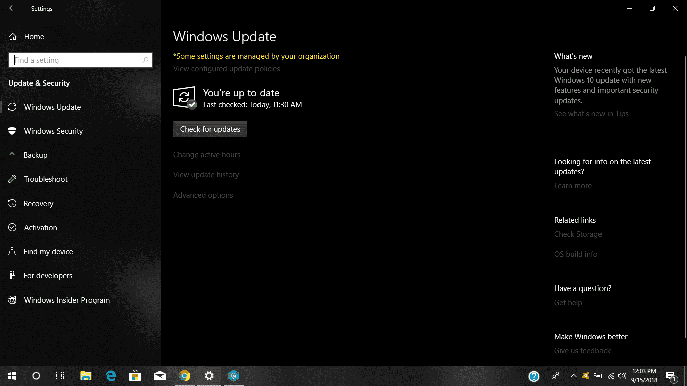 some setting are managed by your organization on windows update a18c80be-16de-41a5-850c-d5420c42030c?upload=true.png