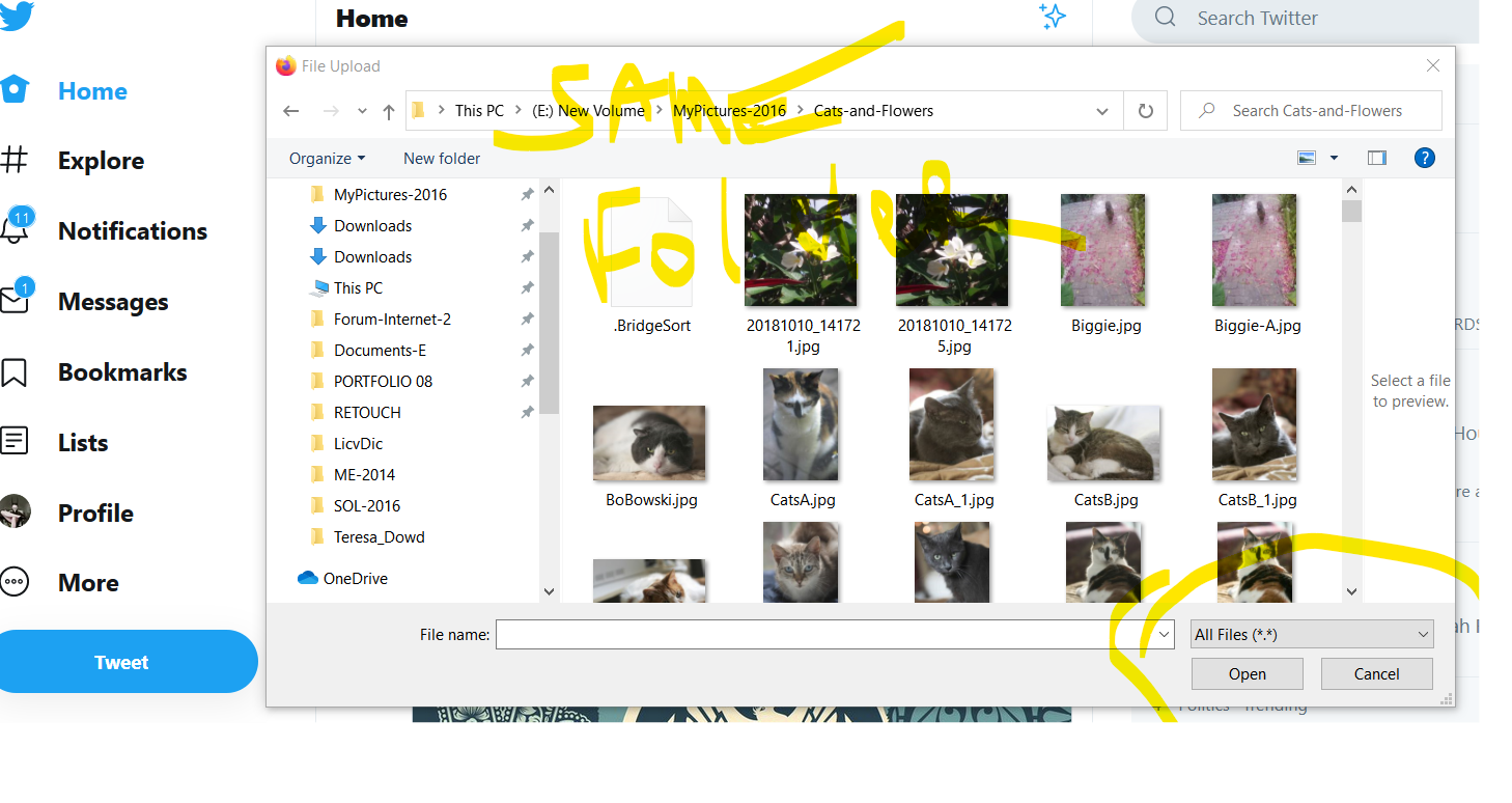 File Asscoation Broken for all JPG & PNG a2c3dba1-a520-4384-ab7e-6c6305d442fd?upload=true.png